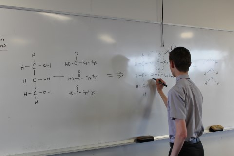 Student 2 (Mobile).jpg