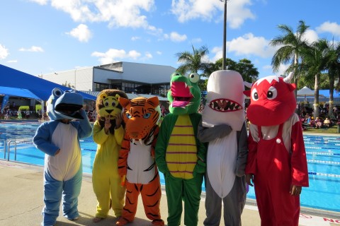 College house mascots are standing in front of a swimming pool