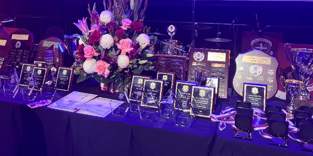 Awards are lined up and sitting on a table.